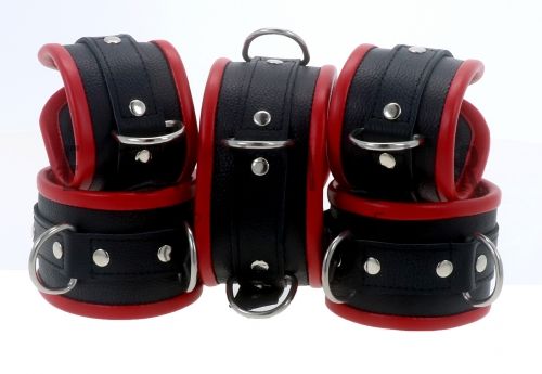 Black & Red Leather Restraints